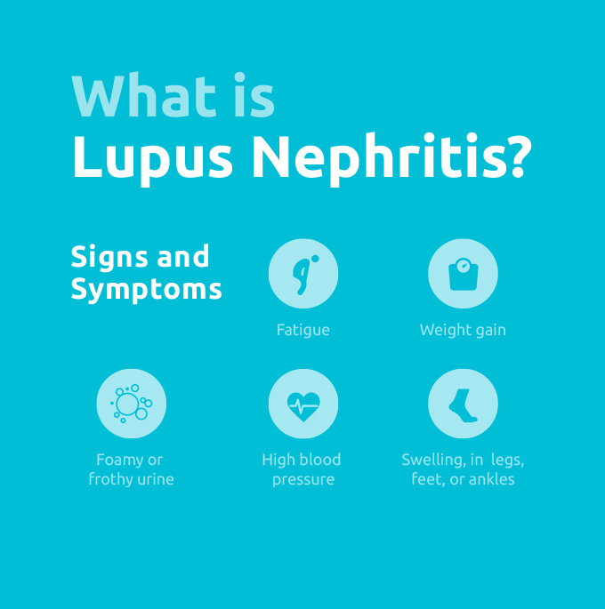 lupus nephritis infographic