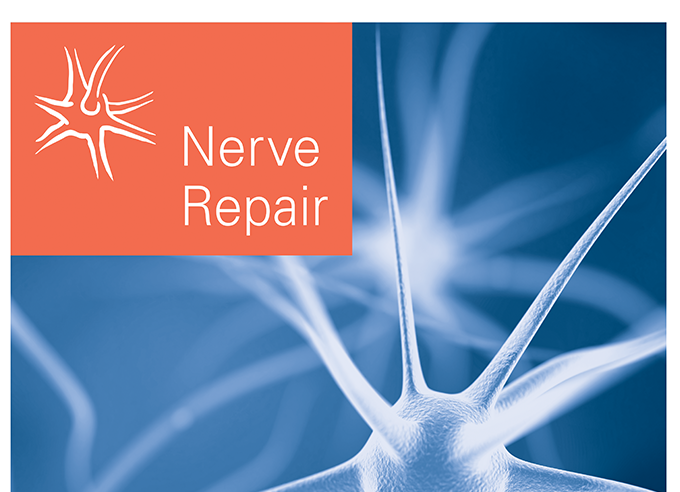 Healthcare Branding – Nerve Repair