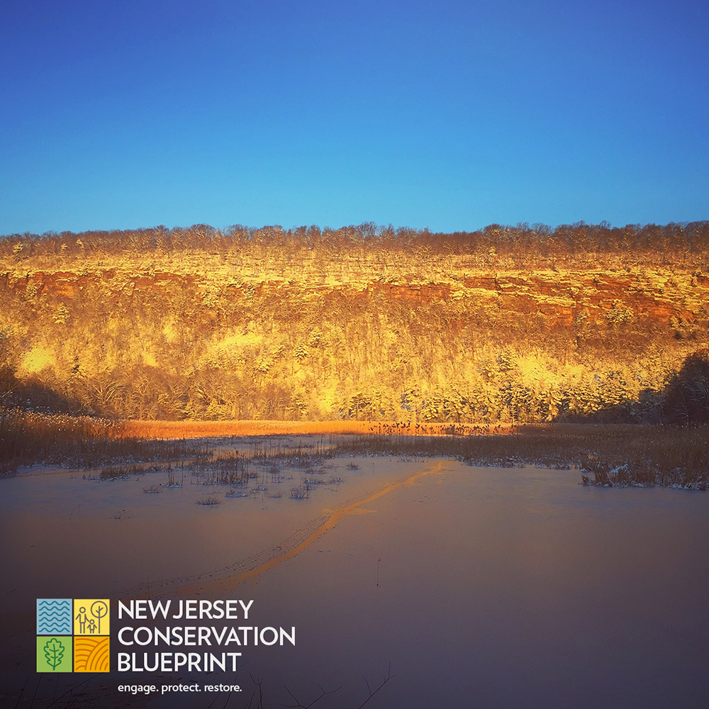 The Nature Conservancy Social Media