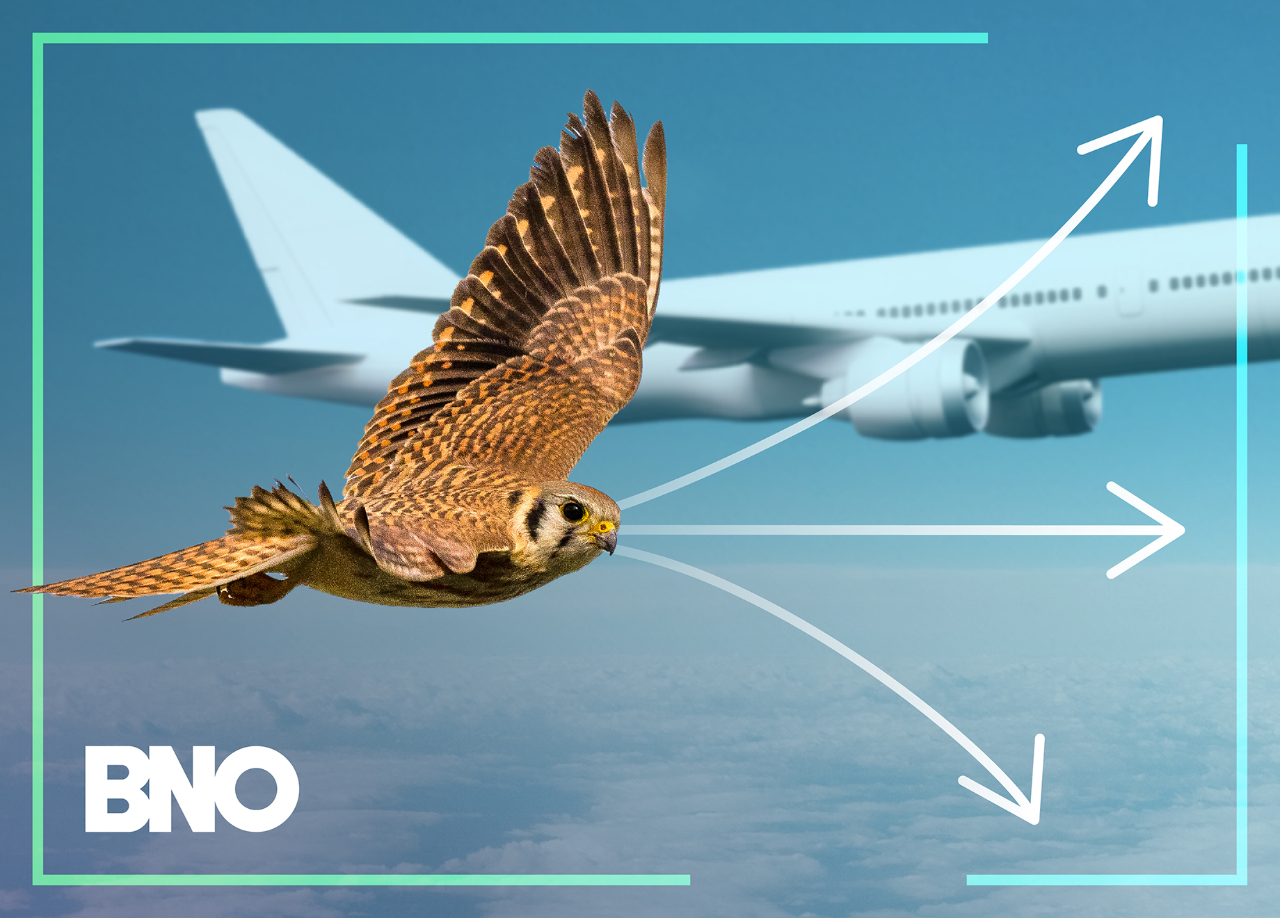 A falcon able to take multiple flight paths, unlike the plane in the background.