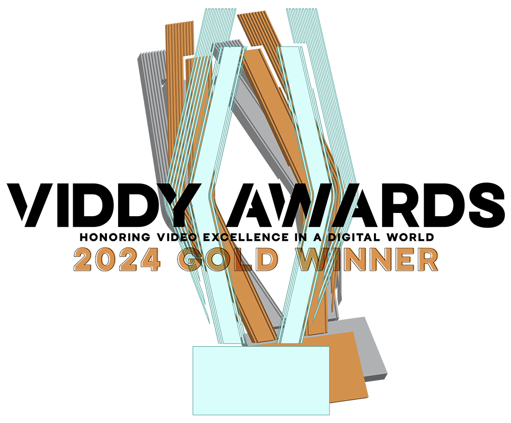 Viddy Awards 2024 Gold Winner logo