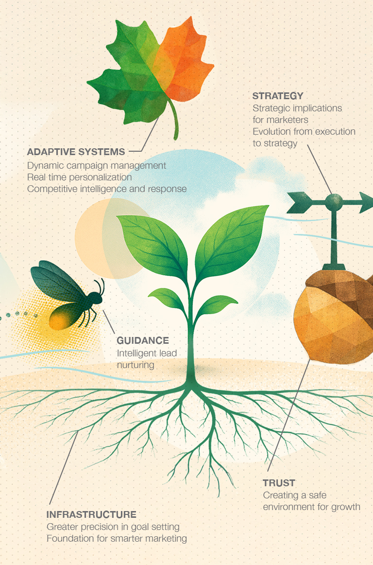 Seedling infographic